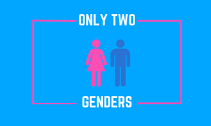 Conservative Comedy Blue Only Two Genders