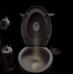 www.giantmagahat.com Peelitcal Target Pee-Litical Target Toilet Light Projector (Joe, Kamala, Hillary, Nancy)
